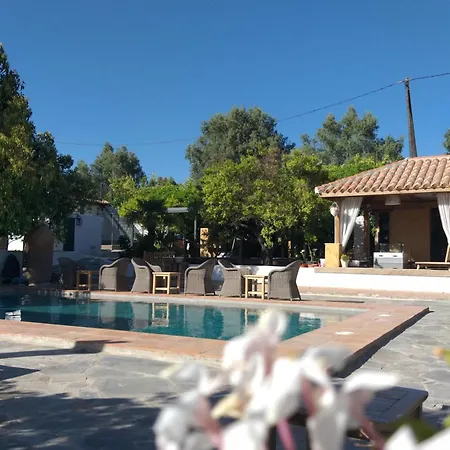 Bed & Breakfast El Violin Experiencia Adults Only