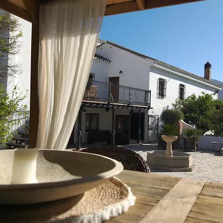 El Violin Experiencia Adults Only Bed & Breakfast *